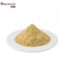 High Quality Dried Ginkgo Biloba Leaves Extract